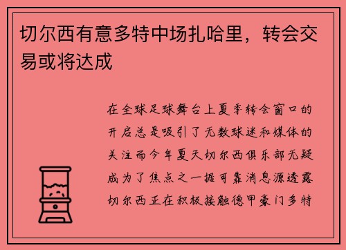 切尔西有意多特中场扎哈里，转会交易或将达成